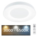 Rabalux Rabalux - LED Stmívatelné stropní svítidlo LED/38W/230V bílá + DO 3000-6500K