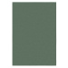 Flair Rugs koberce Kusový koberec Softie Lilypad - 160x230 cm