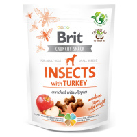 BRIT Care Crunchy Snack Insects with Turkey pamlsky s hmyzem a krůtím pro psy 200 g