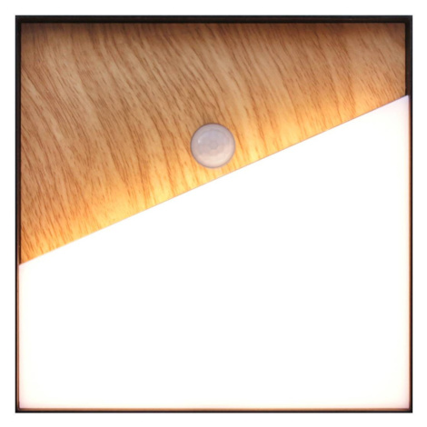 Eco-Light Meg LED dobíjecí nástěnné světlo, barva dřeva, 15 x 15 cm, senzor