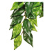 Hagen Rostlina textil Ficus malá