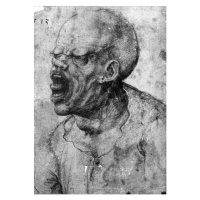 Obrazová reprodukce Portrait of a Man Shouting (charcoal on paper), Leonardo da Vinci, 26.7 × 40