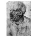 Obrazová reprodukce Portrait of a Man Shouting (charcoal on paper), Leonardo da Vinci, 26.7 × 40