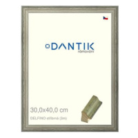 DANTIK rámeček 30 × 40, DELFINO stříbrný plexi čiré