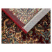 Oriental Weavers koberce Kusový koberec Razia 5503/ET2R - 200x285 cm