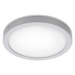 Briloner Briloner 7141-414 - LED Stropní svítidlo FIRE LED/21W/230V 4000K