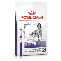 Royal Canin Expert Canine Dental Medium & Large Dog - výhodné balení: 2 x 13 kg