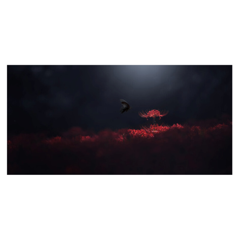 Plakát, Obraz - Raven black and red, Takashi Suzuki, 40 × 20 cm