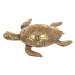 Signes Grimalt Turtle Obrázek Zlatá