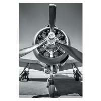 Plakát, Obraz - Letadlo - Propeller, (61 x 91.5 cm)