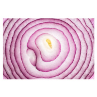Fotografie Onion Slices Full Frame Close Up Shot, MirageC, (40 x 26.7 cm)
