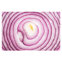 Fotografie Onion Slices Full Frame Close Up Shot, MirageC, 40 × 26.7 cm