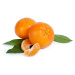 Saloos esenciální olej Mandarinka 10 ml