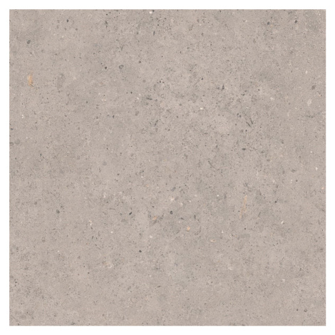 Biophilic grey 60x60 8,5MM GRIP Pastorelli