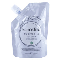 Echosline Color.Up - tónovací masky na vlasy, 150 ml Icy Glam