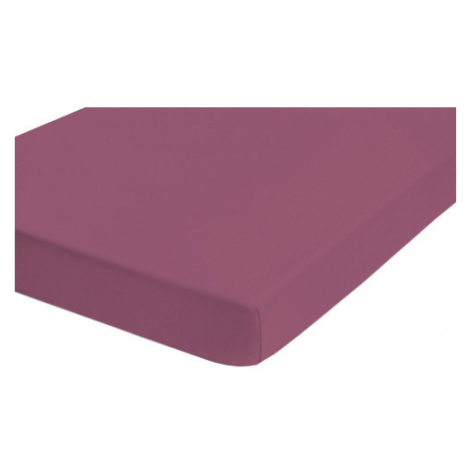Napínací prostěradlo Jersey Castell 140x200 cm, fialové Asko
