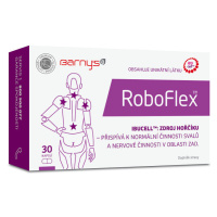 Barnys RoboFlex cps.30