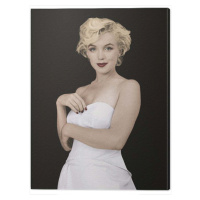 Obraz na plátně Marilyn Monroe - Pose, 2 cm - 60×80 cm