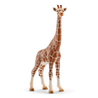 Zvířátko - žirafa samice