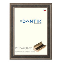 DANTIK rámeček 29,7 × 42, TOOTH malý stříbrno černý plexi čiré