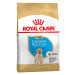 Royal Canin Labrador Retriever Puppy - 2 x 3 kg