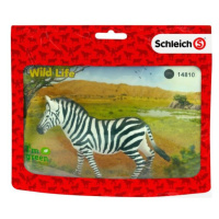 Schleich Wild Life zebra