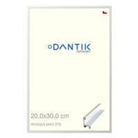 DANTIK rámeček 20 × 30, ALU profil 7273 Bílý matný sklo čiré