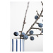 Fotografie Berries Blue, Studio Collection, 26.7 × 40 cm