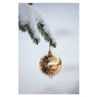 Ilustrace A Gold Ball Ornament Hanging From, Design Pics / John Short, 26.7 × 40 cm