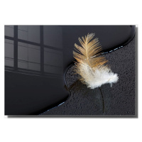 Skleněný obraz 100x70 cm Feather – Wallity
