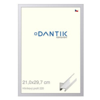 DANTIK rámeček 21 × 29,7, ALU profil 6220 Bílý matný sklo čiré