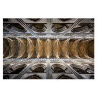 Umělecká fotografie Vertical view of the Ogive Vaulted, Jean-Philippe Tournut, (40 x 26.7 cm)