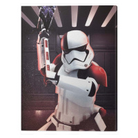 Obraz na plátně Star Wars The Last Jedi - Executioner Trooper, (60 x 80 cm)