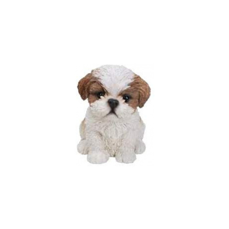 Štěně Shih-tzu sedící polyresinové 17cm Vivid Arts