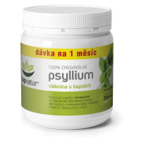 Topnatur Psyllium 250 kapslí