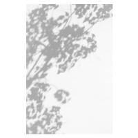 Fotografie trees branch and leaf with shadow, Andre2013, (26.7 x 40 cm)