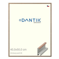 DANTIK rámeček 40 × 50, ALU profil 6035 Dýha ořech raw plexi čiré