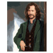 Zuty Malování podle čísel Sirius Black (Harry Potter)