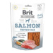 Brit Jerky Salmon Protein Bar 80g