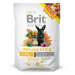 BRIT Animals immune stick for rodents pochoutka pro králíky 80 g