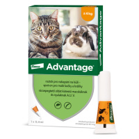 ADVANTAGE Malé Kočky 40 mg + králíci Spot-on 0.4 ml