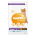 IAMS Cat Kitten Ocean Fish granule 2 kg