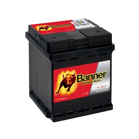 BANNER Power Bull 42Ah, 12V, P42 08