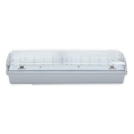 NBB CARLA-AT 30 LED 230-240V 3h TP IP65 910105000