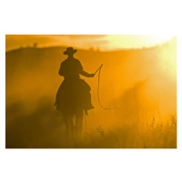 Umělecký tisk Silhouette of Cowboy at Sunset, Darrell Gulin, (40 x 26.7 cm)
