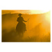 Ilustrace Silhouette of Cowboy at Sunset, Darrell Gulin, 40x26.7 cm