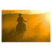 Ilustrace Silhouette of Cowboy at Sunset, Darrell Gulin, 40 × 26.7 cm