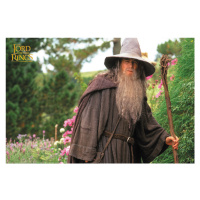 Umělecký tisk Lord of the Rings - Gandalf, 40x26.7 cm