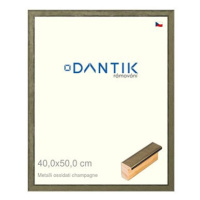 DANTIK rámeček 40 × 50, Metalli oidati champagne plexi čiré