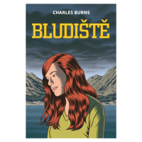 Bludiště 3 - Charles Burns